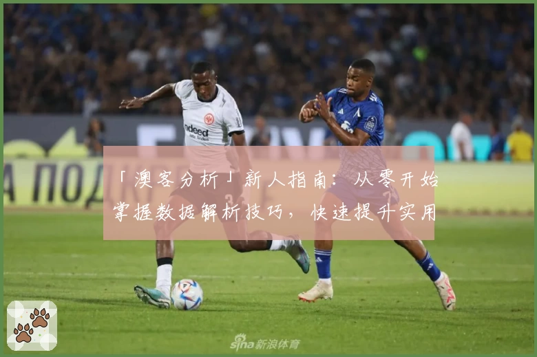 「澳客分析」新人指南：从零开始掌握数据解析技巧，快速提升实用能力