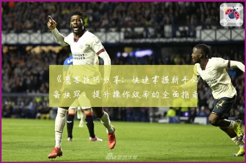 《澳客技巧分享：快速掌握新手必备诀窍，提升操作效率的全面指南》