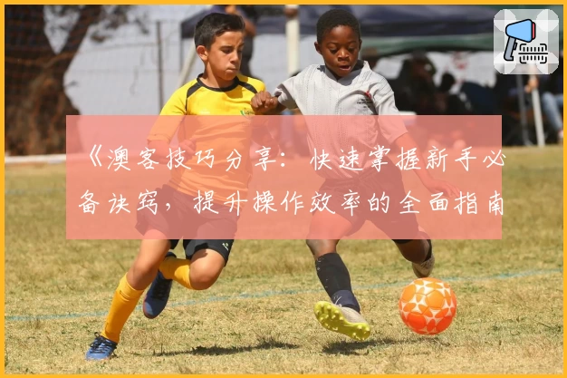 《澳客技巧分享：快速掌握新手必备诀窍，提升操作效率的全面指南》